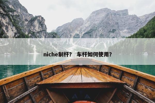 niche制杆？ 车杆如何使用？