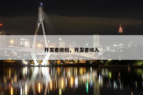 开发者缴税，开发者收入