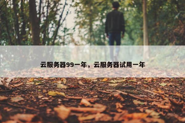 云服务器99一年，云服务器试用一年