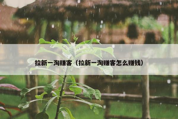 拉新一淘赚客（拉新一淘赚客怎么赚钱）
