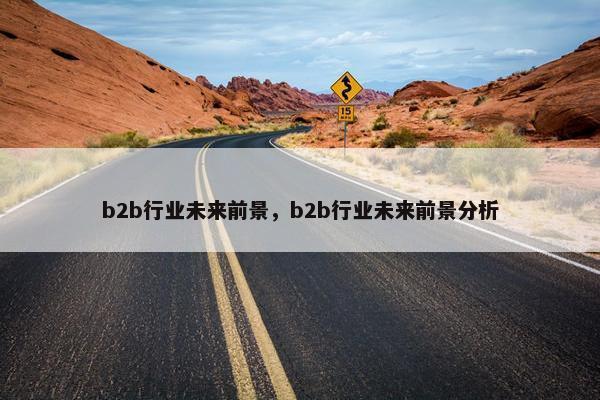 b2b行业未来前景，b2b行业未来前景分析