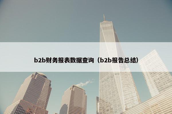 b2b财务报表数据查询（b2b报告总结）