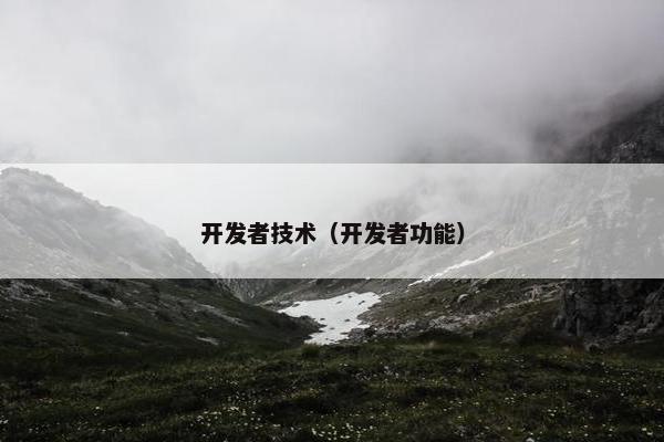 开发者技术（开发者功能）