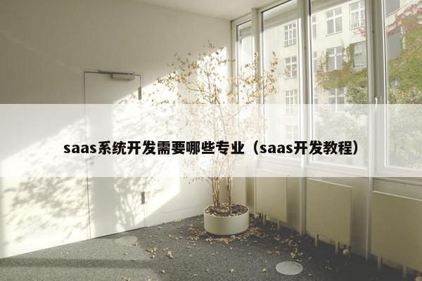 saas系统开发需要哪些专业（saas开发教程）