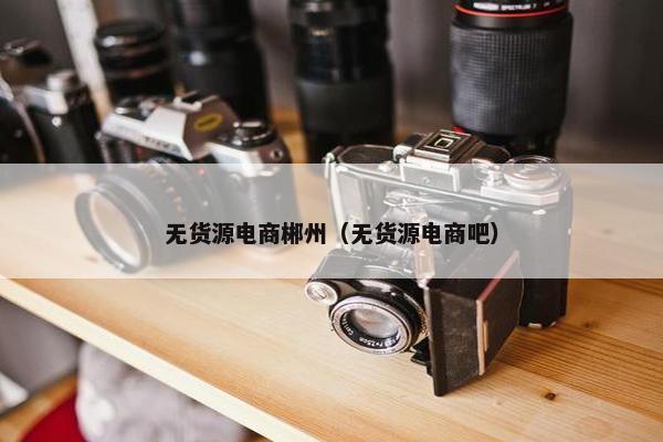 无货源电商郴州（无货源电商吧）