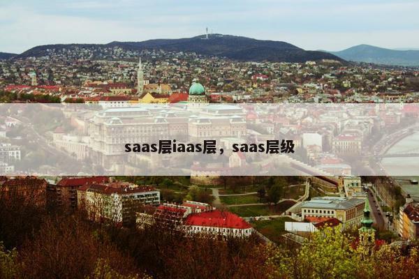 saas层iaas层，saas层级