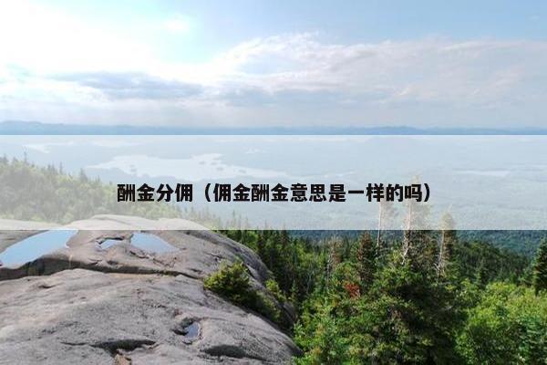 酬金分佣（佣金酬金意思是一样的吗）