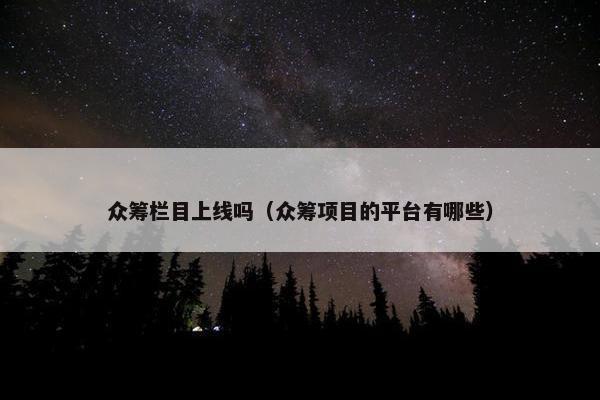 众筹栏目上线吗（众筹项目的平台有哪些）