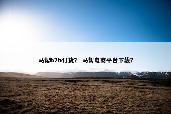 马帮b2b订货？ 马帮电商平台下载？