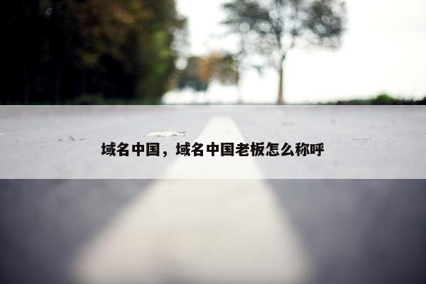 域名中国，域名中国老板怎么称呼