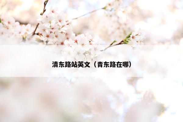 清东路站英文（青东路在哪）