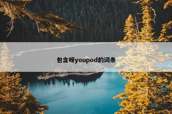 包含呀youpod的词条