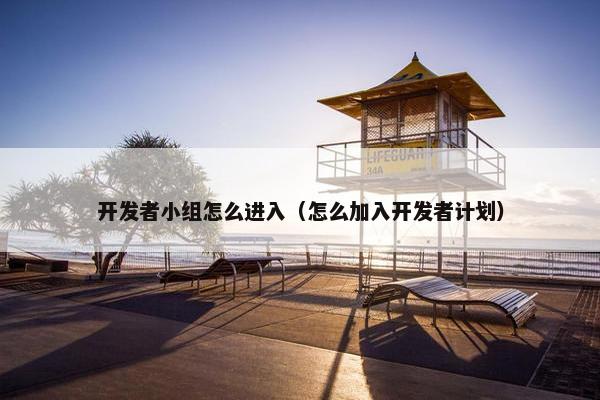 开发者小组怎么进入（怎么加入开发者计划）