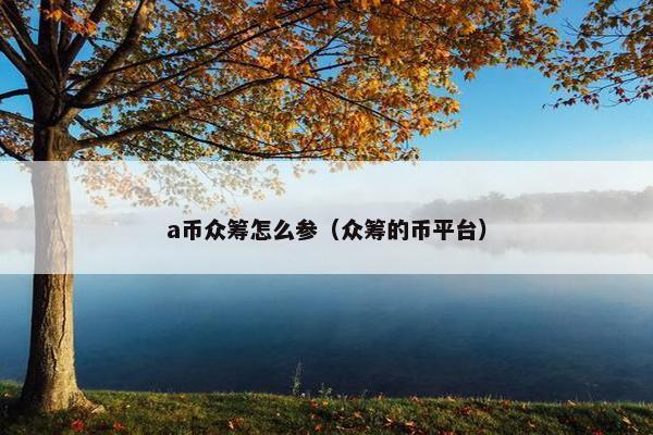 a币众筹怎么参（众筹的币平台）