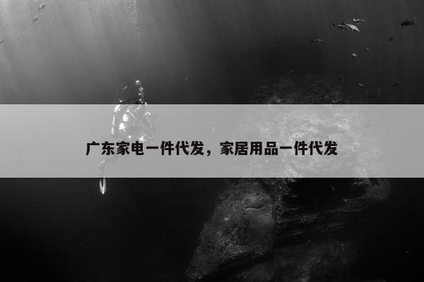 广东家电一件代发，家居用品一件代发