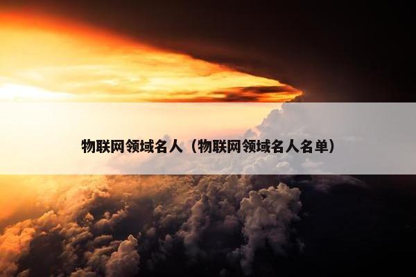 物联网领域名人（物联网领域名人名单）