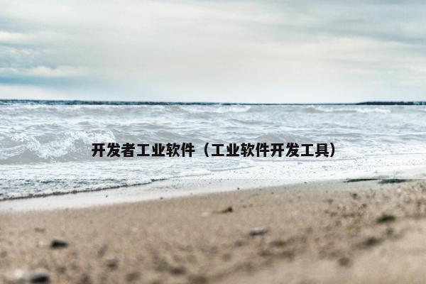开发者工业软件（工业软件开发工具）