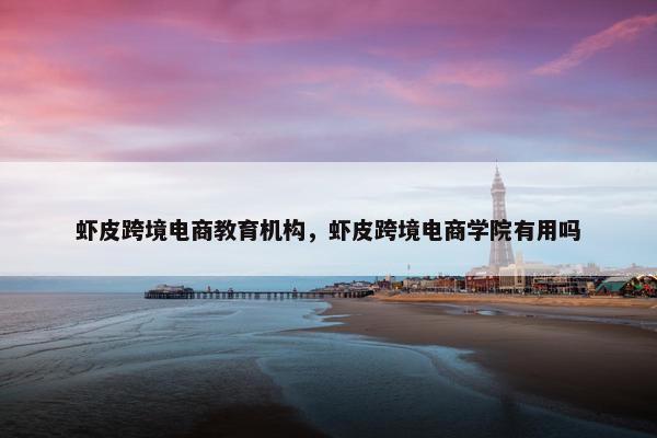 虾皮跨境电商教育机构，虾皮跨境电商学院有用吗
