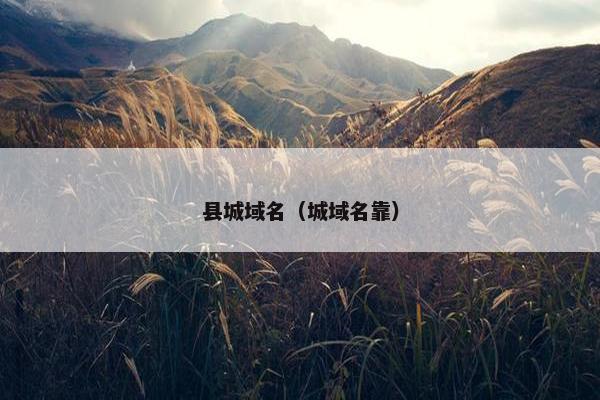 县城域名（城域名靠）