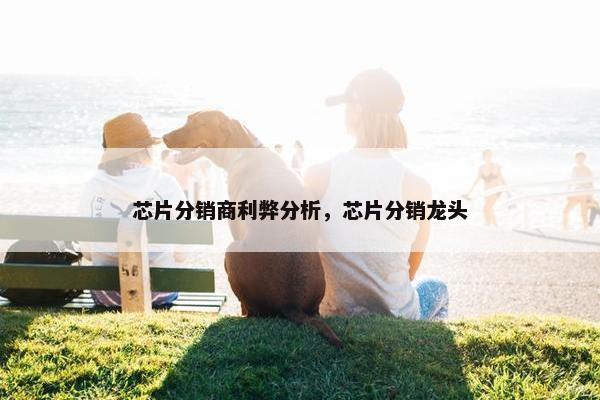 芯片分销商利弊分析，芯片分销龙头