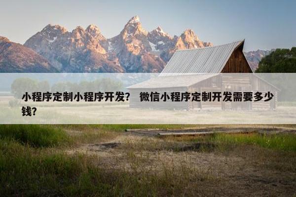 小程序定制小程序开发？ 微信小程序定制开发需要多少钱？