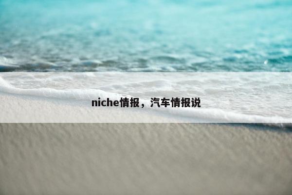 niche情报，汽车情报说