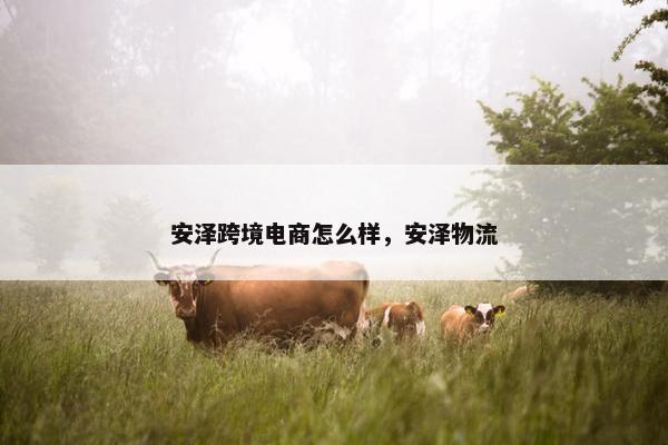 安泽跨境电商怎么样，安泽物流