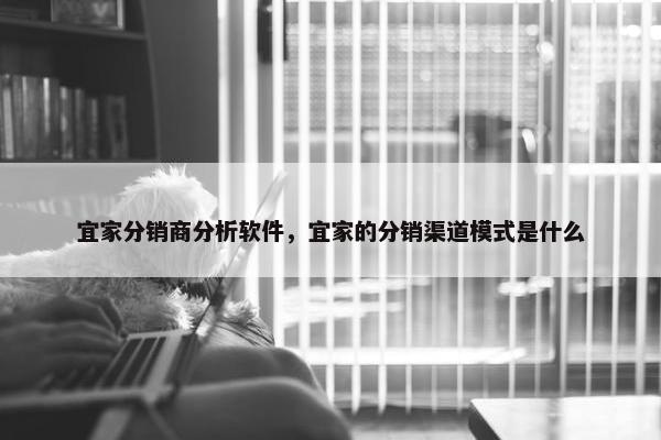 宜家分销商分析软件，宜家的分销渠道模式是什么