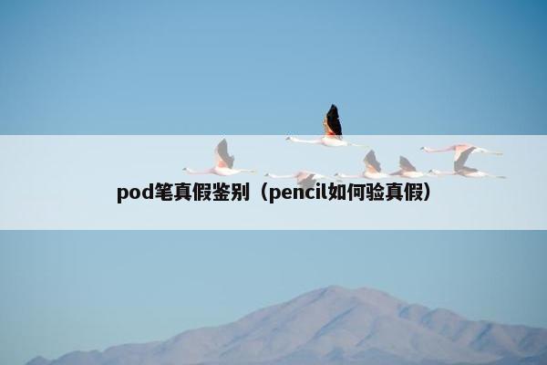 pod笔真假鉴别（pencil如何验真假）