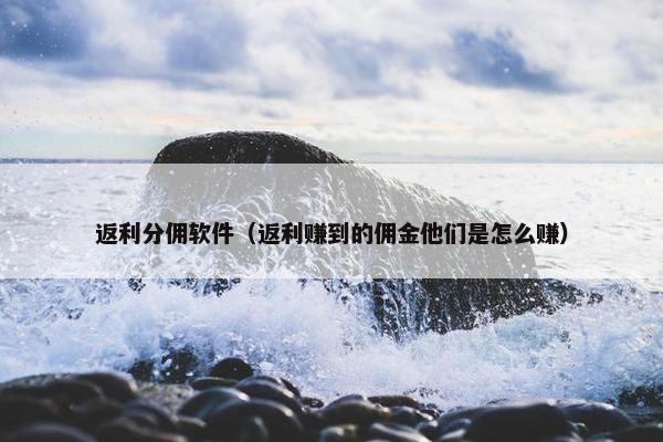 返利分佣软件（返利赚到的佣金他们是怎么赚）