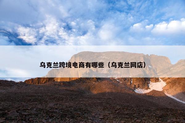 乌克兰跨境电商有哪些（乌克兰网店）