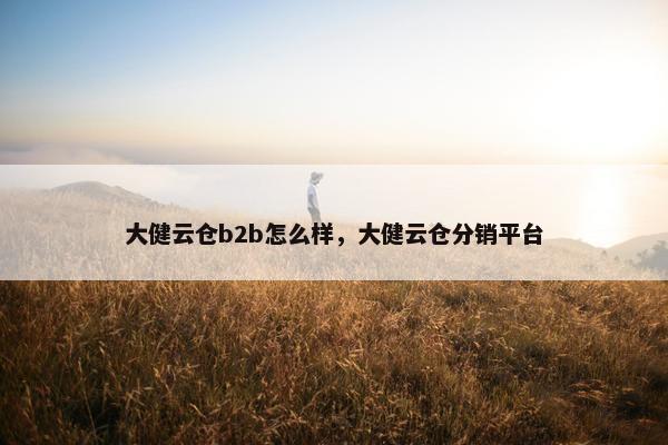 大健云仓b2b怎么样，大健云仓分销平台