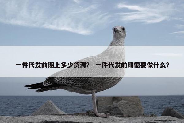 一件代发前期上多少货源？ 一件代发前期需要做什么？