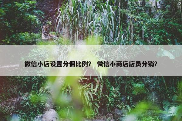 微信小店设置分佣比例？ 微信小商店店员分销？