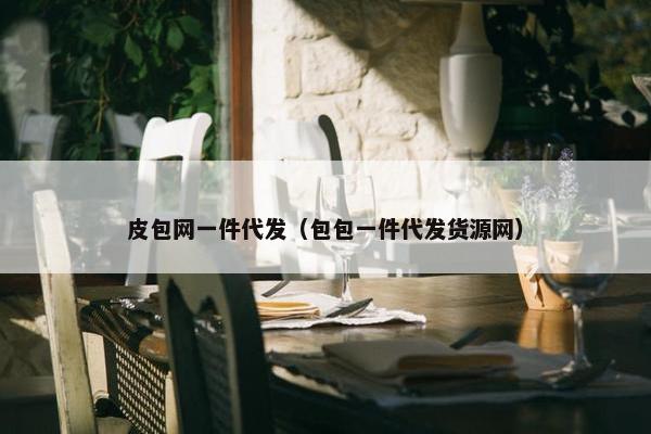 皮包网一件代发（包包一件代发货源网）