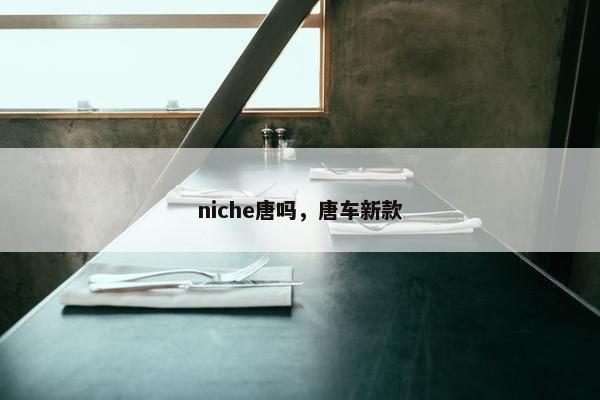 niche唐吗，唐车新款