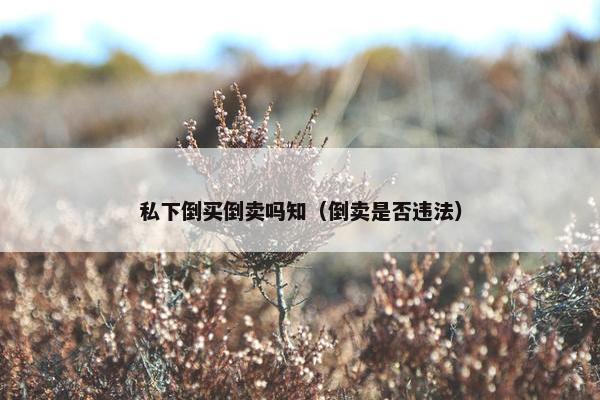 私下倒买倒卖吗知（倒卖是否违法）