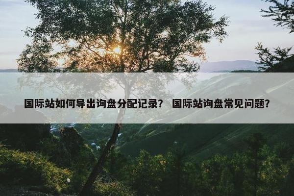 国际站如何导出询盘分配记录？ 国际站询盘常见问题？