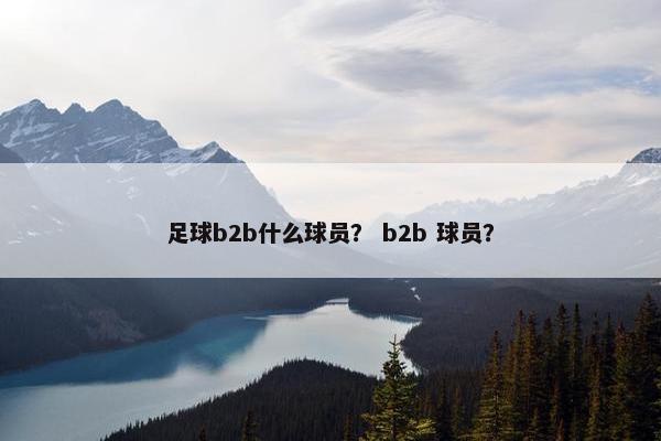 足球b2b什么球员？ b2b 球员？