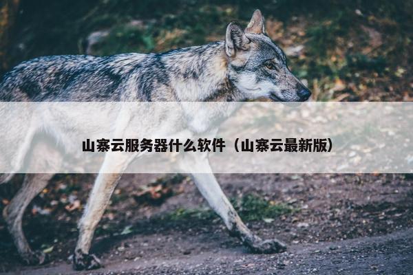 山寨云服务器什么软件（山寨云最新版）