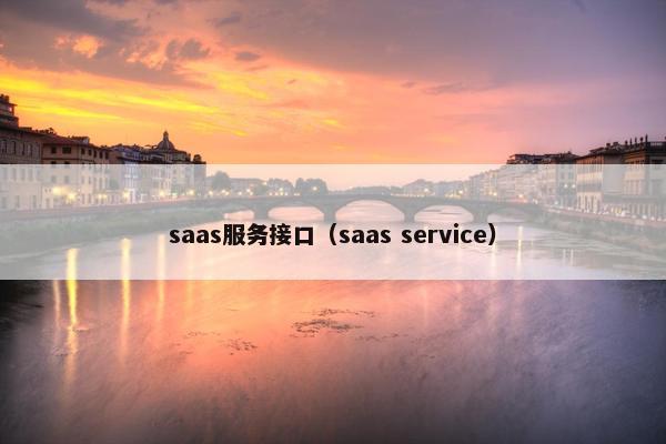 saas服务接口（saas service）