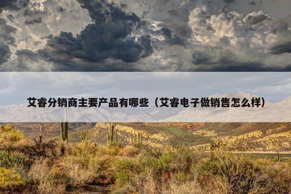 艾睿分销商主要产品有哪些（艾睿电子做销售怎么样）