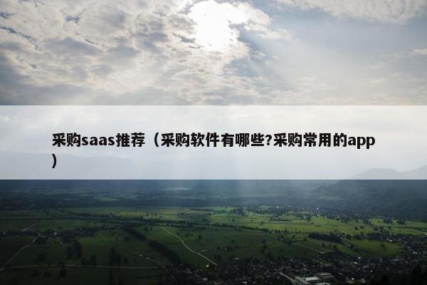 采购saas推荐（采购软件有哪些?采购常用的app）