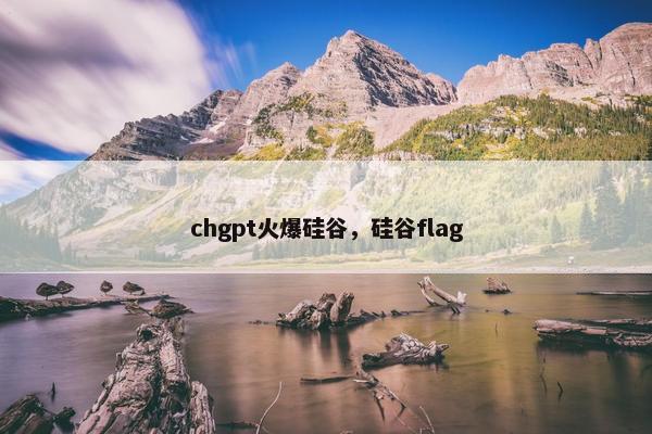 chgpt火爆硅谷，硅谷flag