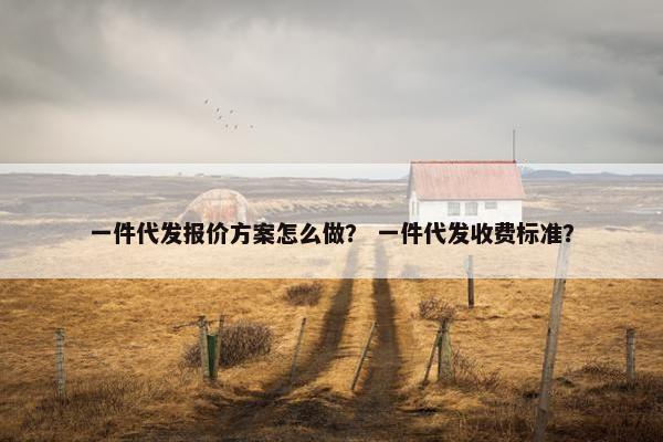 一件代发报价方案怎么做？ 一件代发收费标准？