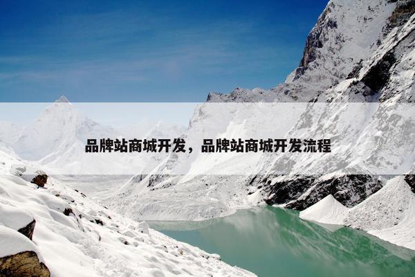 品牌站商城开发，品牌站商城开发流程