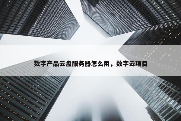 数字产品云盘服务器怎么用，数字云项目