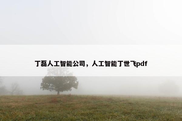 丁磊人工智能公司，人工智能丁世飞pdf