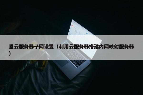 里云服务器子网设置（利用云服务器搭建内网映射服务器）