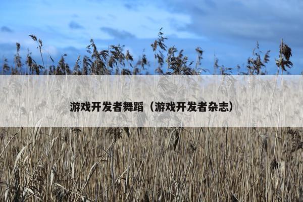 游戏开发者舞蹈（游戏开发者杂志）